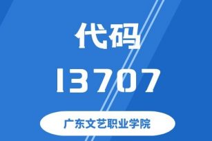【代码：13707】广东文艺职业学院